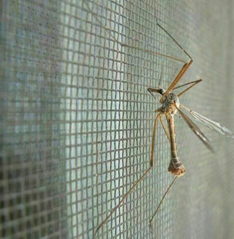 8d3680b59bb594b662000fb78503dcad